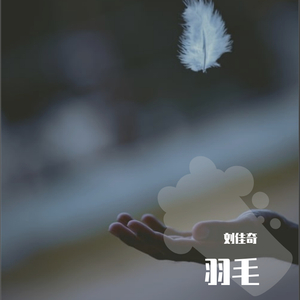 丝袜内衣大婶在线观看
